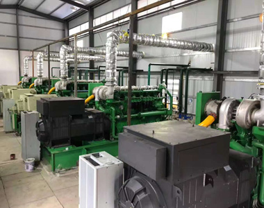 云南某发电项目配星空平台800kw/10.5kv 高压发电机