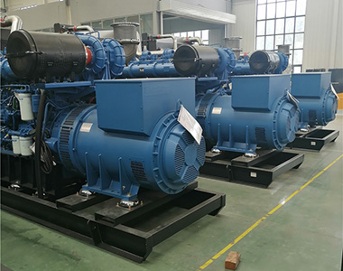 星空平台800KW/400V陆用发电机应用于某养殖场项目