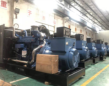 国内某养殖项目指定批量采用星空平台500KW/400V陆用发电机
