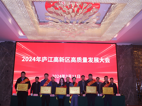 【喜报】星空平台电气荣获2023年庐江高新区企业高质量发展一等奖！