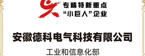 「小巨人 大分量」| YMTY.COM亚美电气荣获“国家专精特新重点小巨人企业”称号！